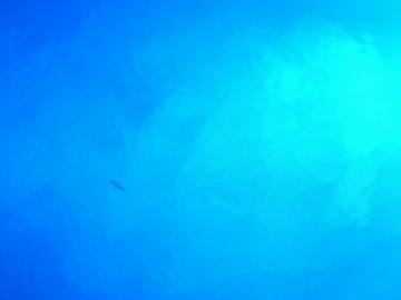 20070925145657.jpg