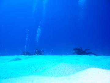 s-dc0203112.jpg