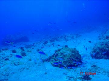 s-dc082158.jpg