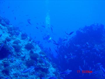 s-dc082170.jpg